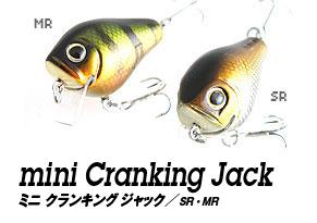 mini-crank1